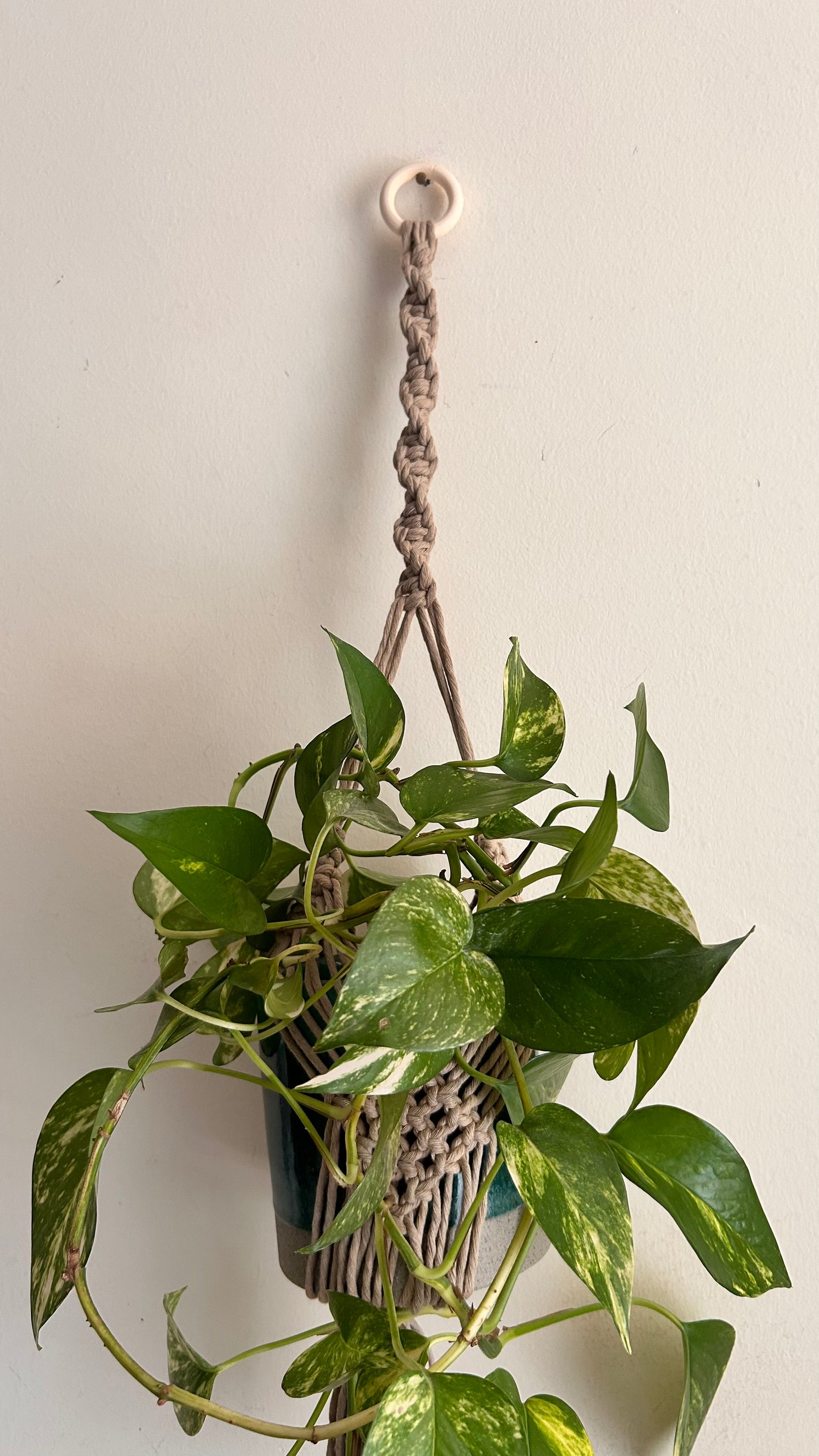 Portavaso in Macramè da Appendere | Portapianta Boho Handmade