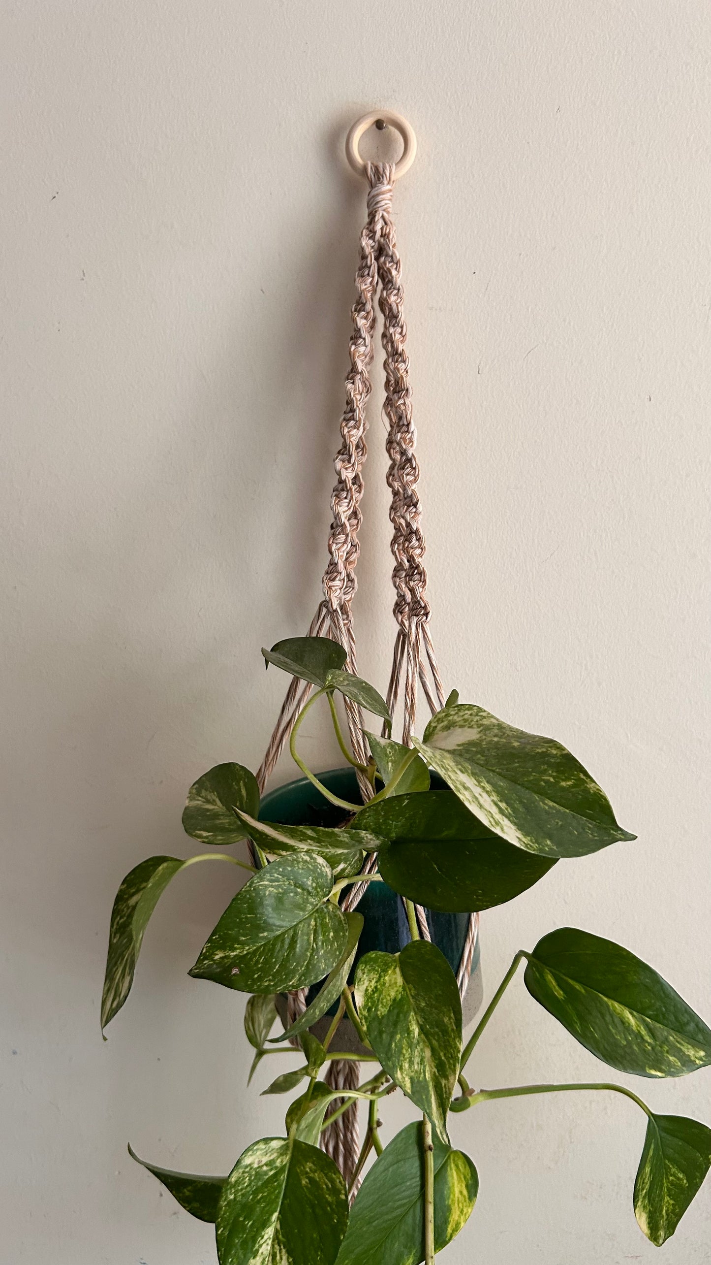 Portavaso in Macramè da Parete | Portapianta Handmade Boho