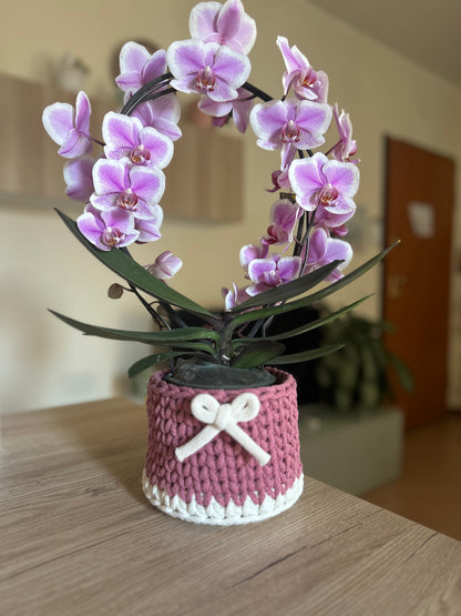 Cestino porta oggetti uncinetto