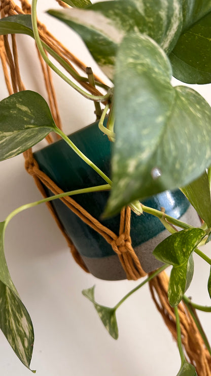 Portavaso in Macramè da Parete | Portapianta Handmade Boho