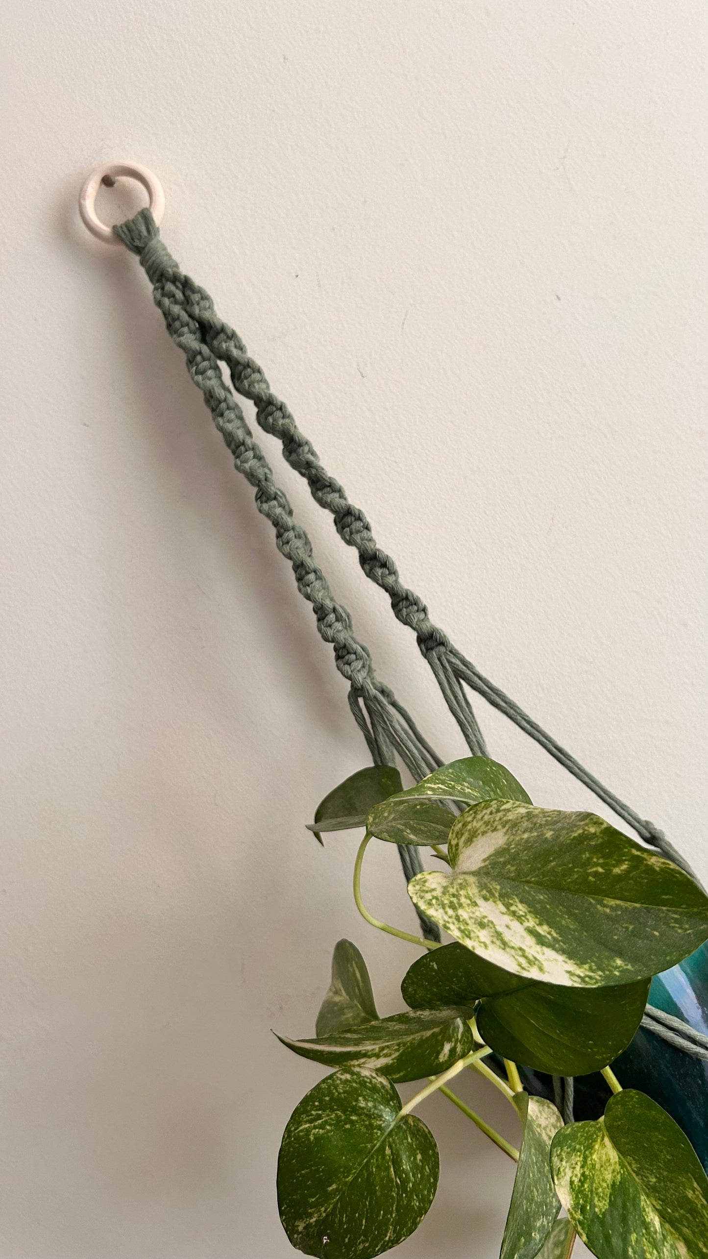 Portavaso in Macramè da Parete | Portapianta Handmade Boho