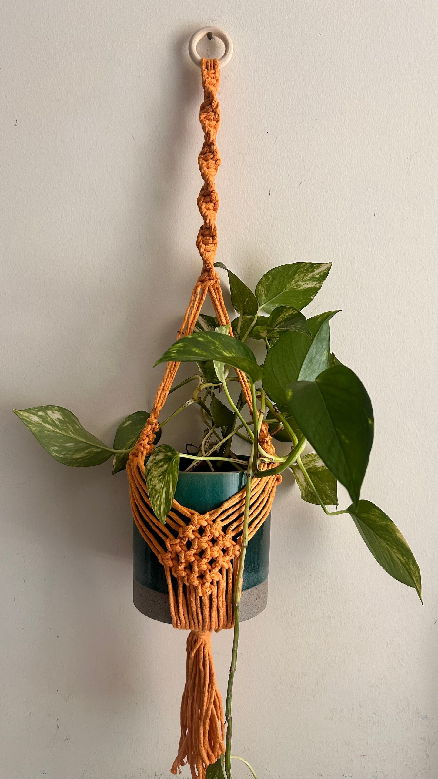 Portavaso in Macramè da Appendere | Portapianta Boho Handmade