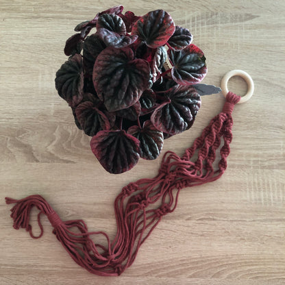 Portavaso in Macramè - MacraLu di Ludovica Mazzanti