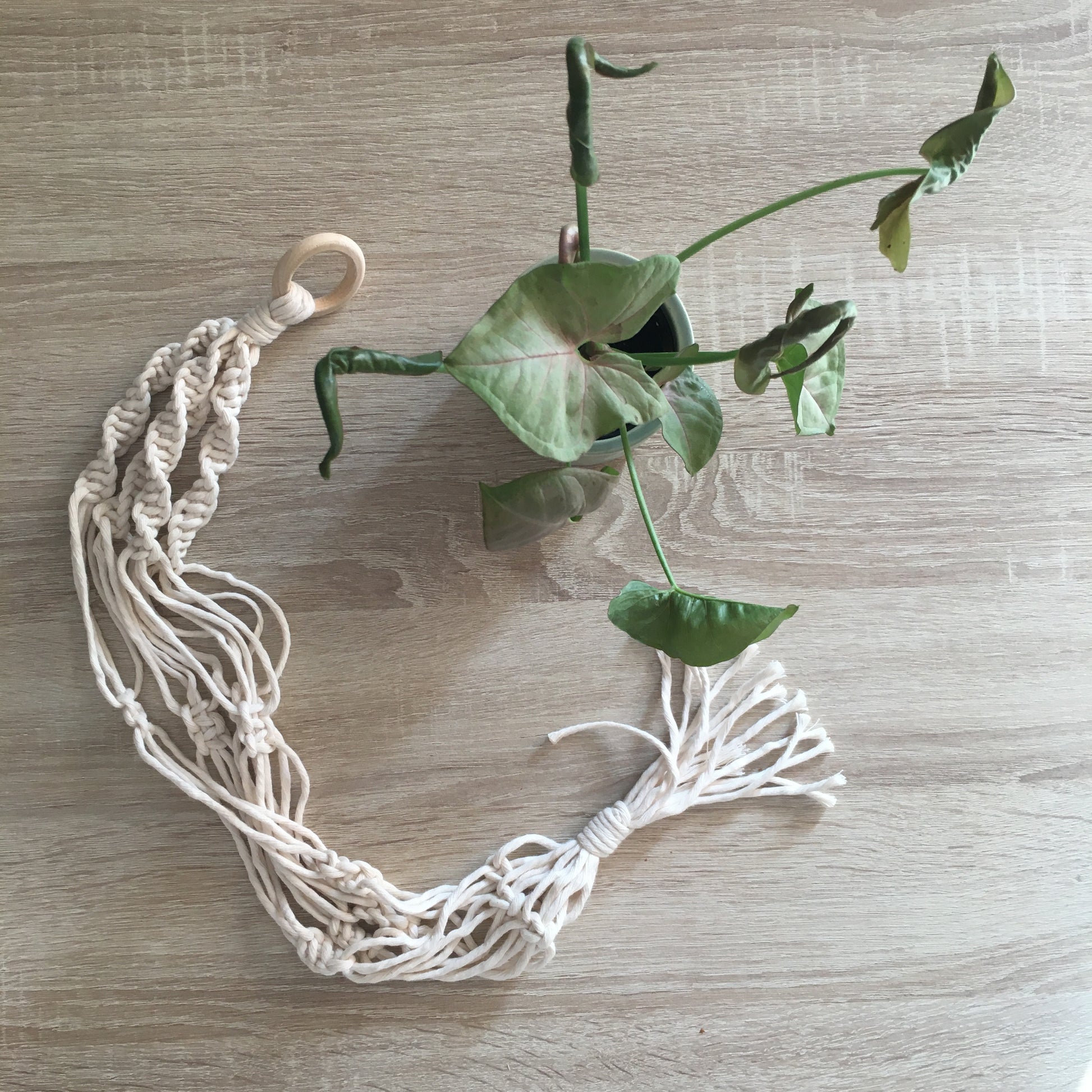 Portavaso in Macramè - MacraLu di Ludovica Mazzanti